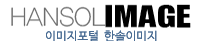 TOVNET 로고